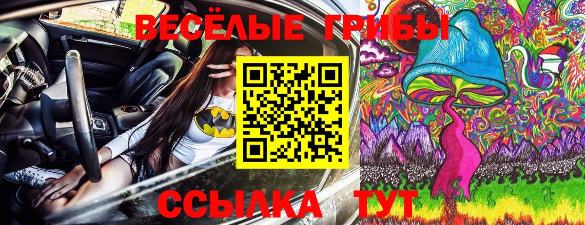Галлюциногенные грибы Psilocybine cubensis Луховицы
